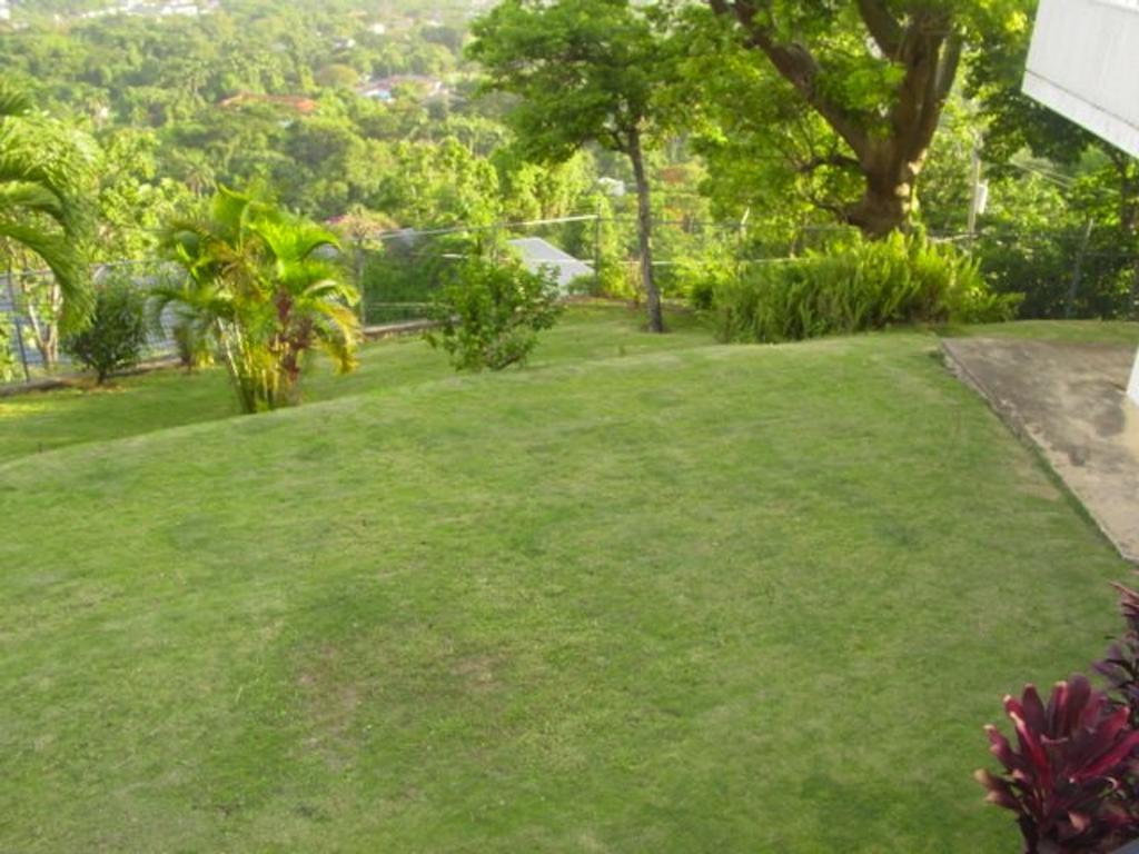 Hill Top Kingston Jamaica Zewnętrze zdjęcie